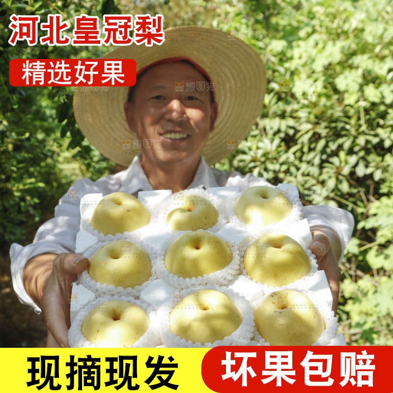 农民手里拿着一箱皇冠梨