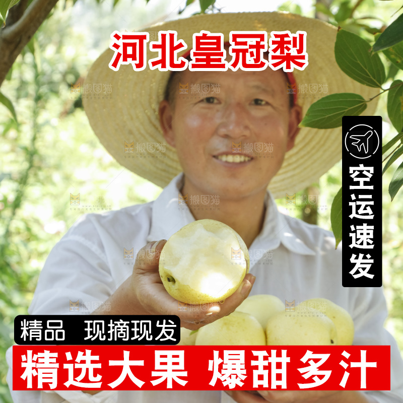 农民手里拿着一篮皇冠梨