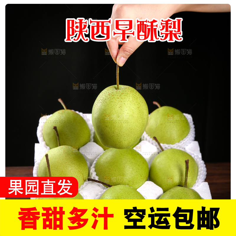 手里拿着陕西早酥梨