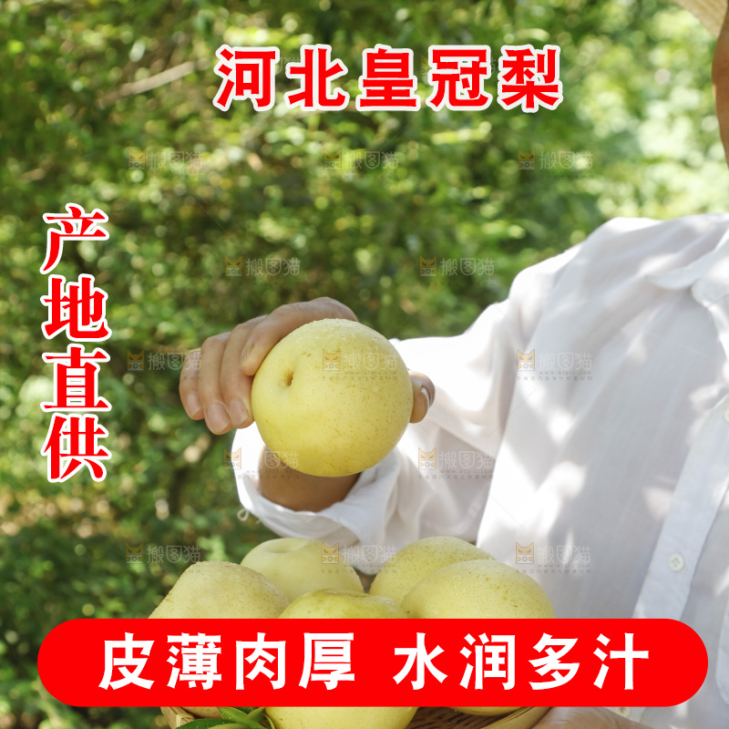 手里拿着一篮皇冠梨