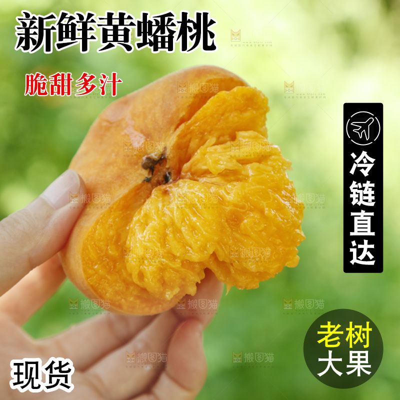 手里拿着新鲜黄蟠桃