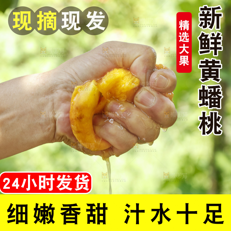 手里爆汁的黄蟠桃