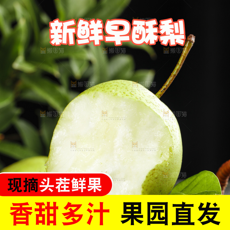堆放着的新鲜早酥梨