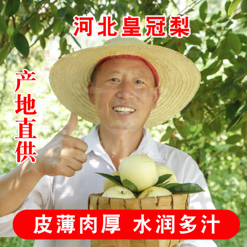 农民手里拿着一篮皇冠梨