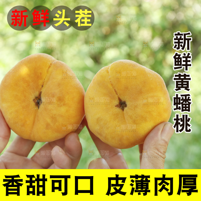手里拿着新鲜黄蟠桃