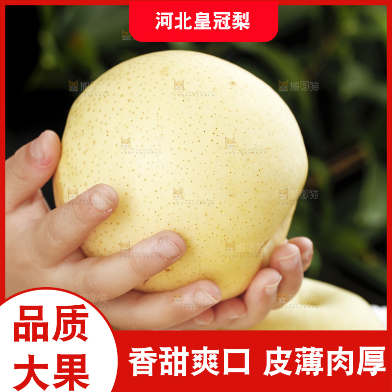 手里拿着新鲜皇冠梨
