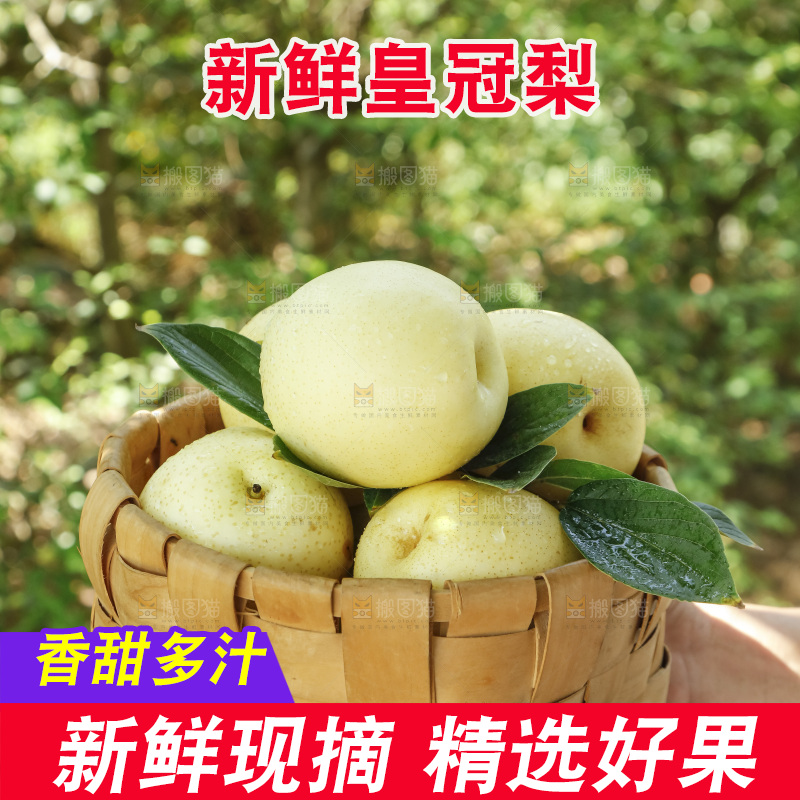 手里拿着一篮黄冠白梨