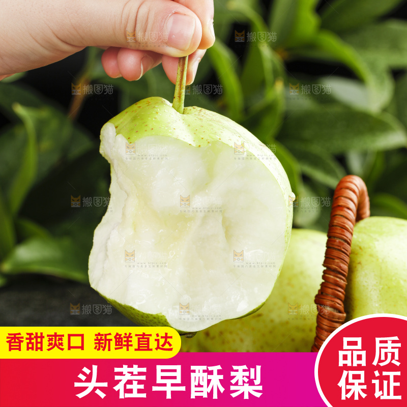 手里拿着咬开的新鲜早酥梨