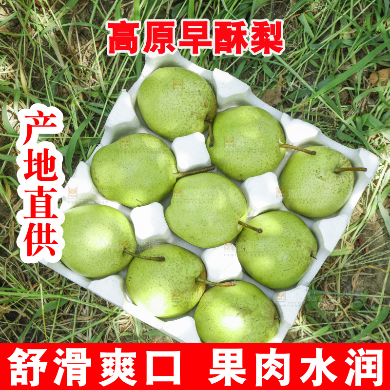 草地上泡沫箱里的早酥梨