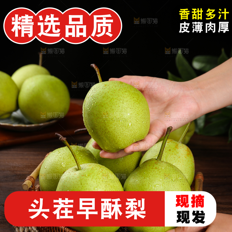 手里拿着陕西早酥梨