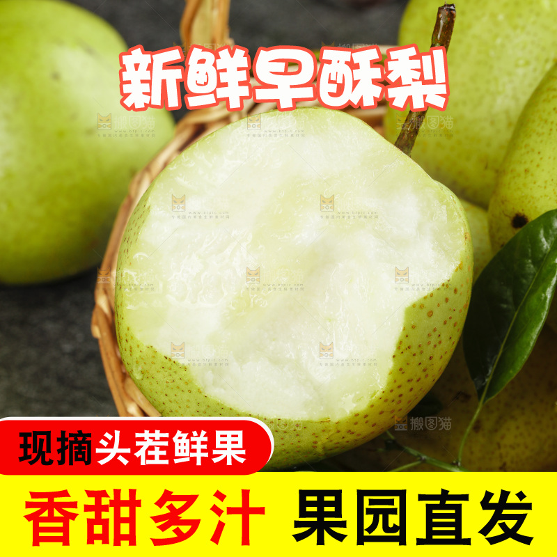篮子里的陕西早酥梨