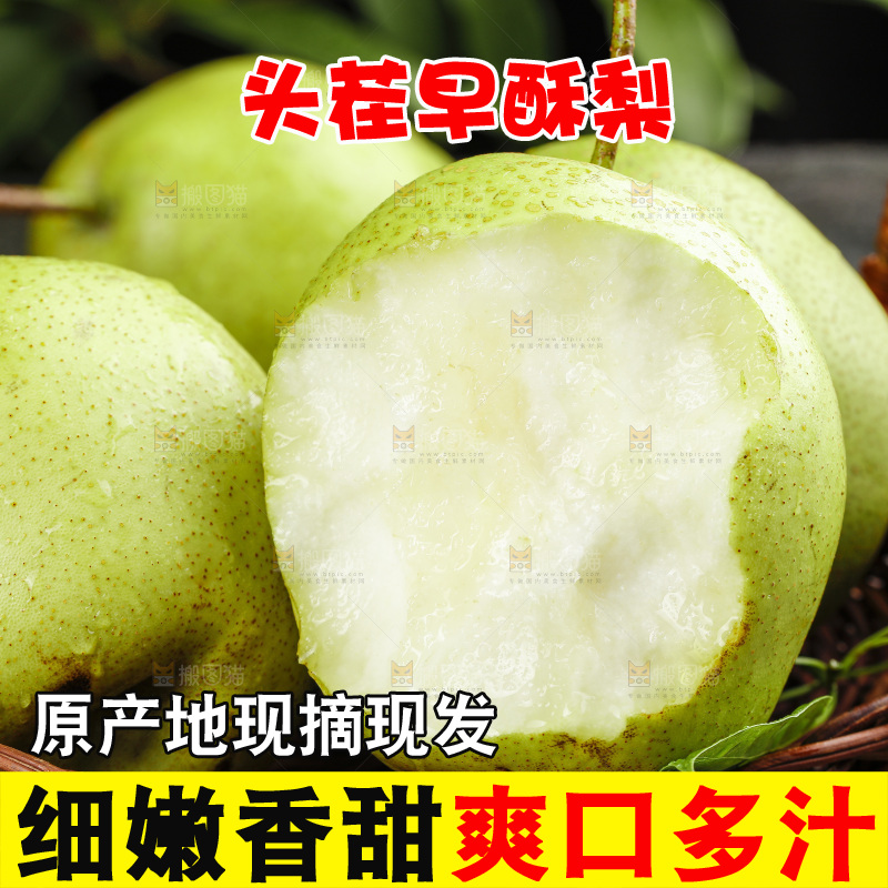 篮子里的陕西早酥梨