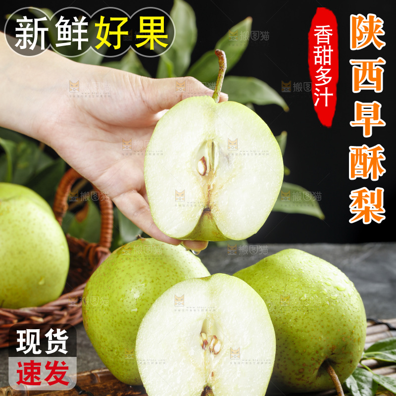 手里拿着陕西早酥梨