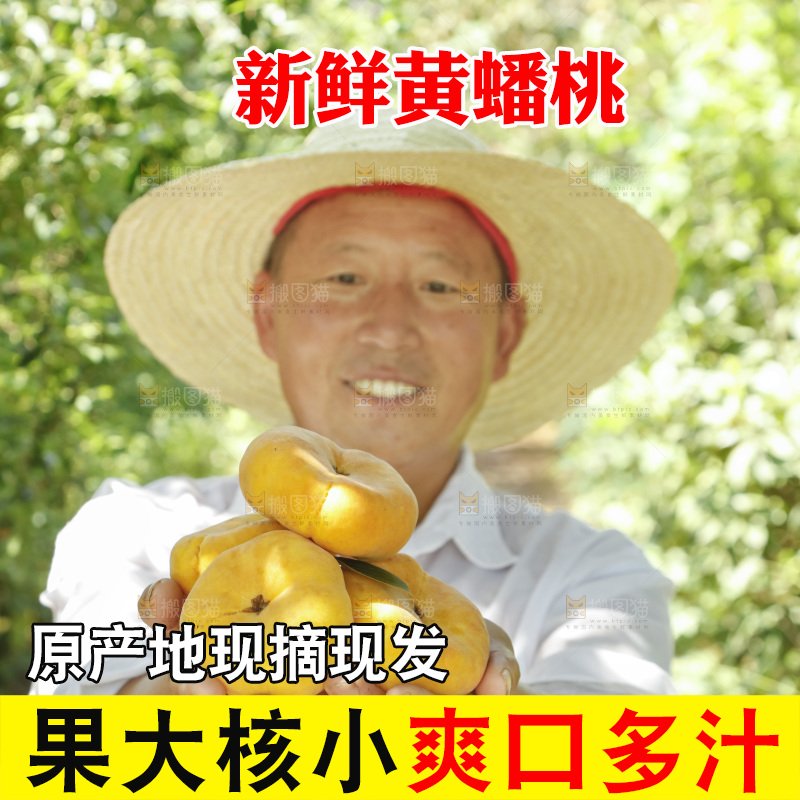农民手里拿着黄蟠桃
