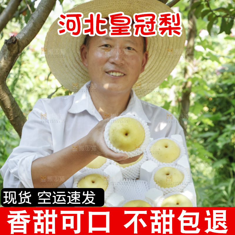 农民手里拿着一箱皇冠梨