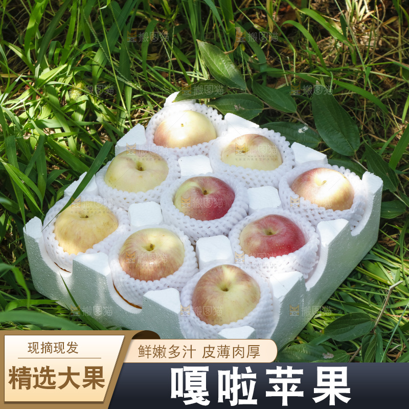 泡沫箱里的嘎啦苹果