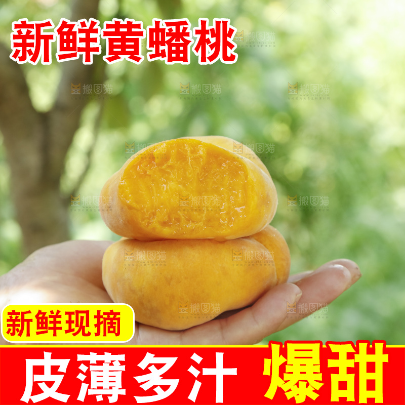 手里放着新鲜黄蟠桃