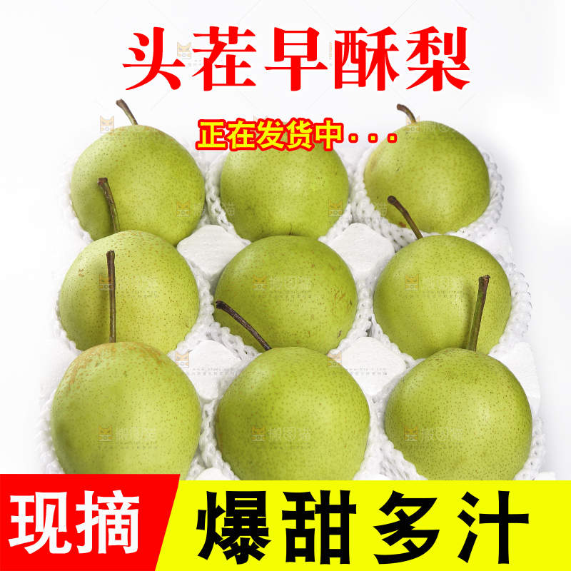 礼品盒里的早酥梨