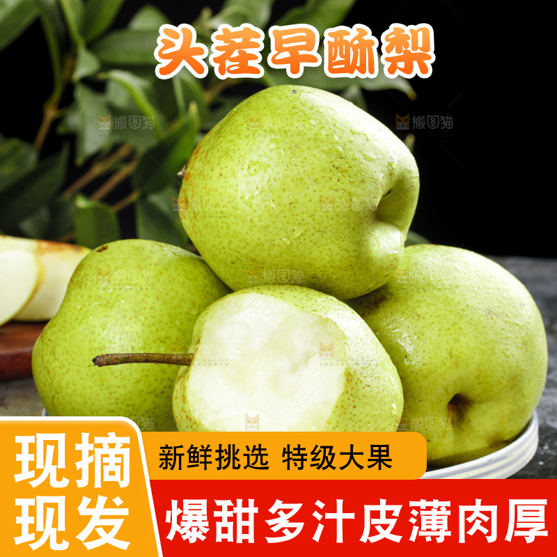 盘子里咬开的陕西早酥梨