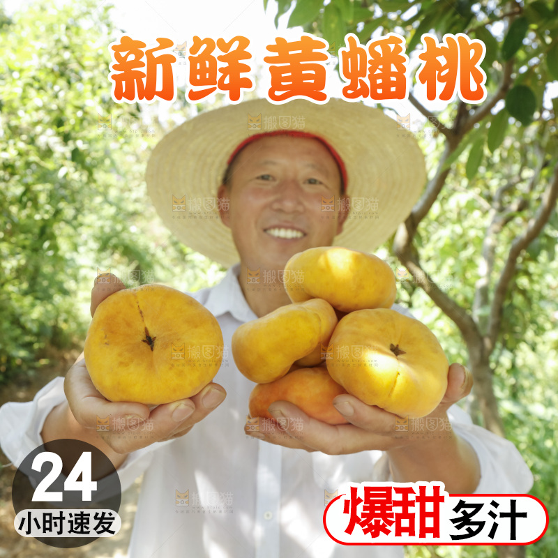 农民手里拿着黄蟠桃