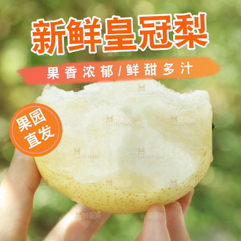 手里咬开的新鲜皇冠梨