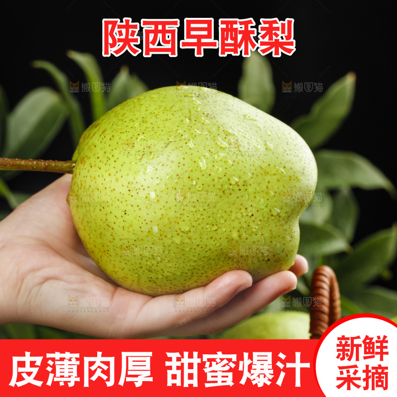 手里拿着新鲜早酥梨