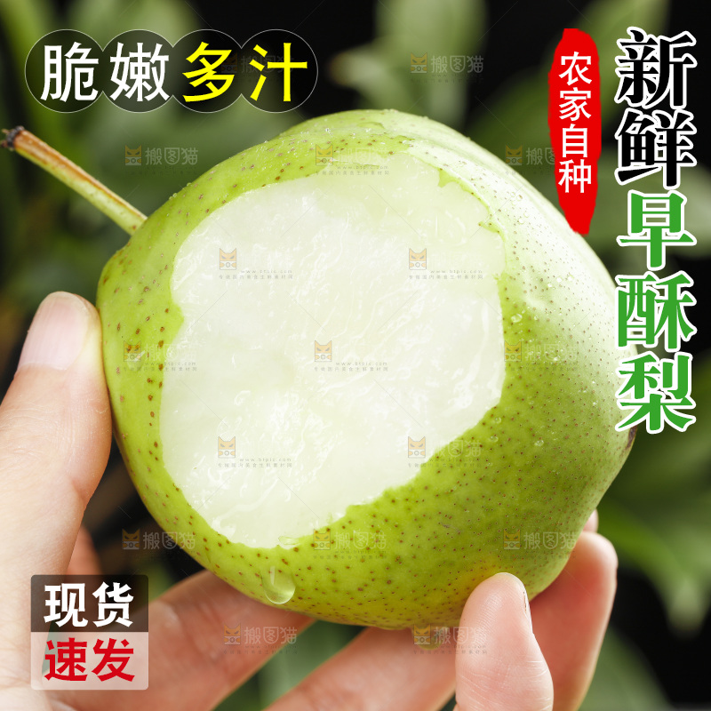 手里拿着陕西早酥梨