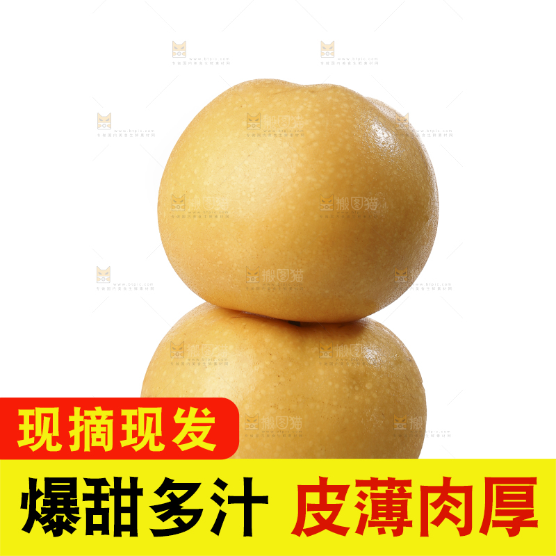 白底上摆放着秋月梨