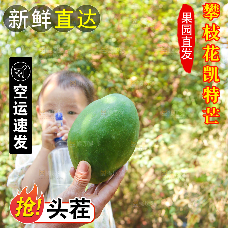 手里拿着青皮凯特芒