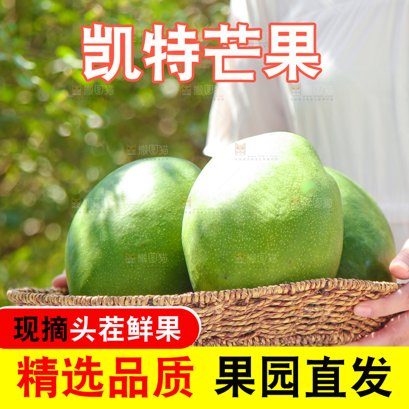 手端着一篮凯特芒果