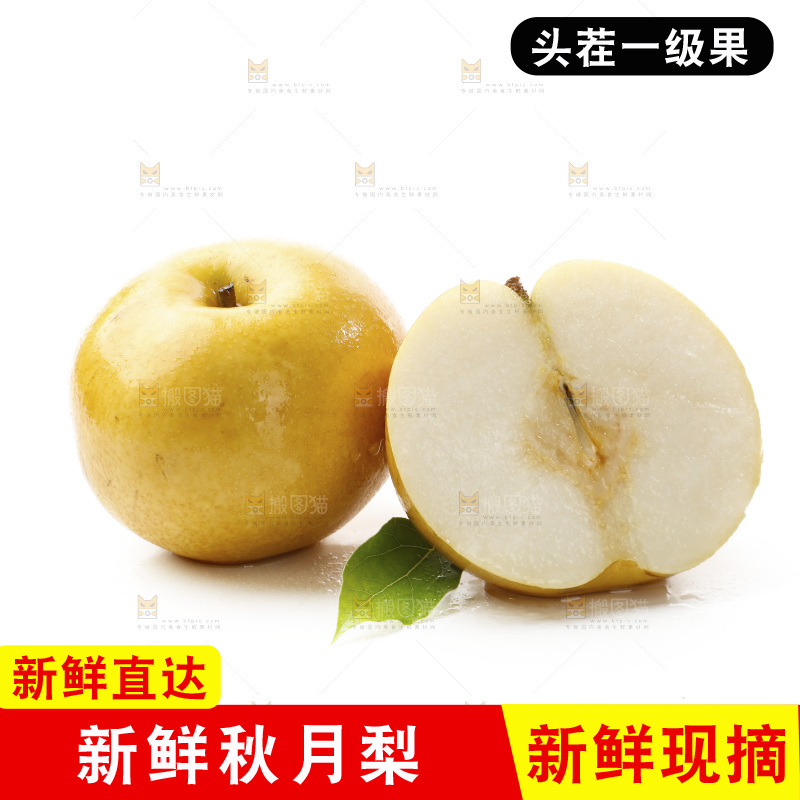 白底上放着莱阳秋月梨