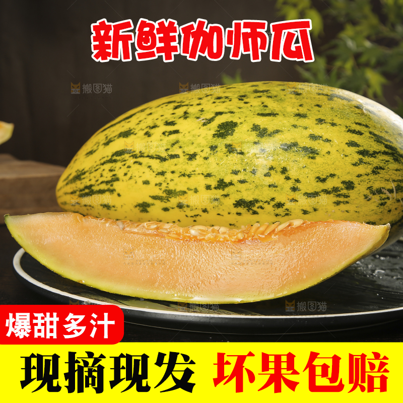 深底上切块的伽师瓜