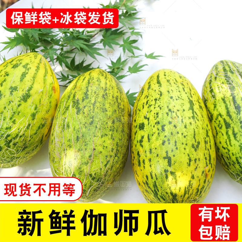 桌子上放着新疆伽师瓜