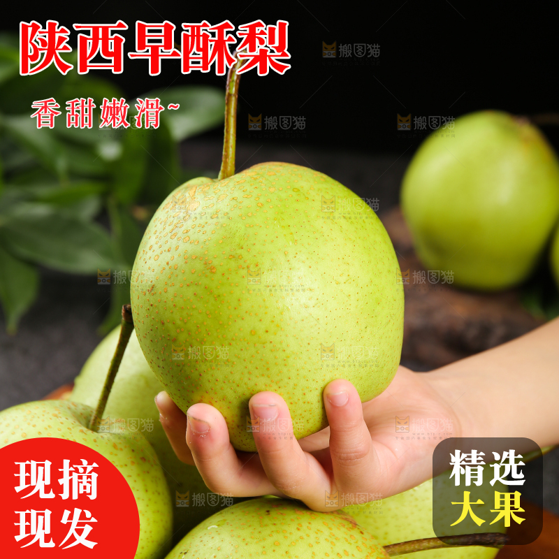 手上放着新鲜早酥梨