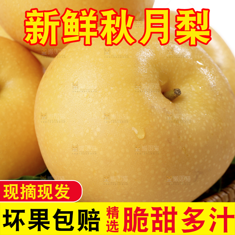 篮子里的秋月梨