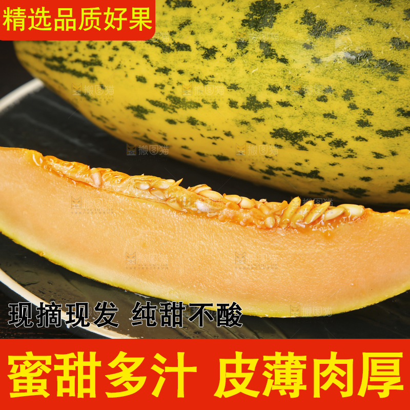 深底上切块的伽师瓜