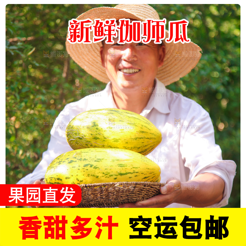 农民手里拿着一篮伽师瓜