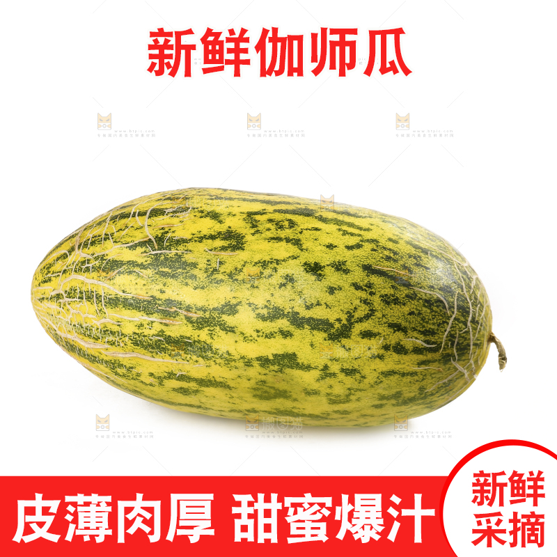 白底上放着新疆伽师瓜