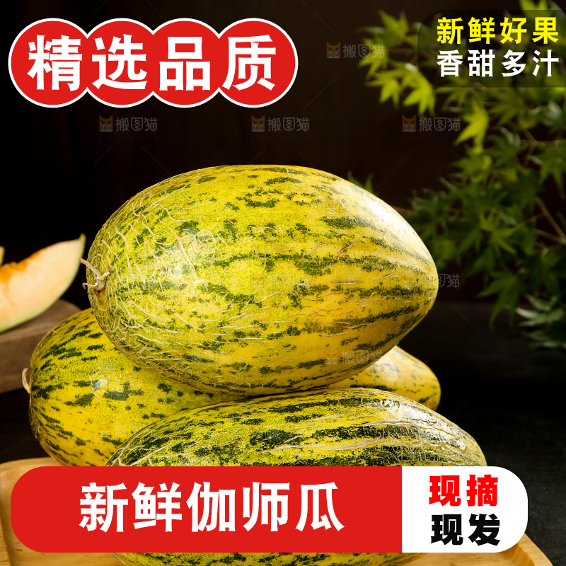 木盘里摆放着伽师瓜