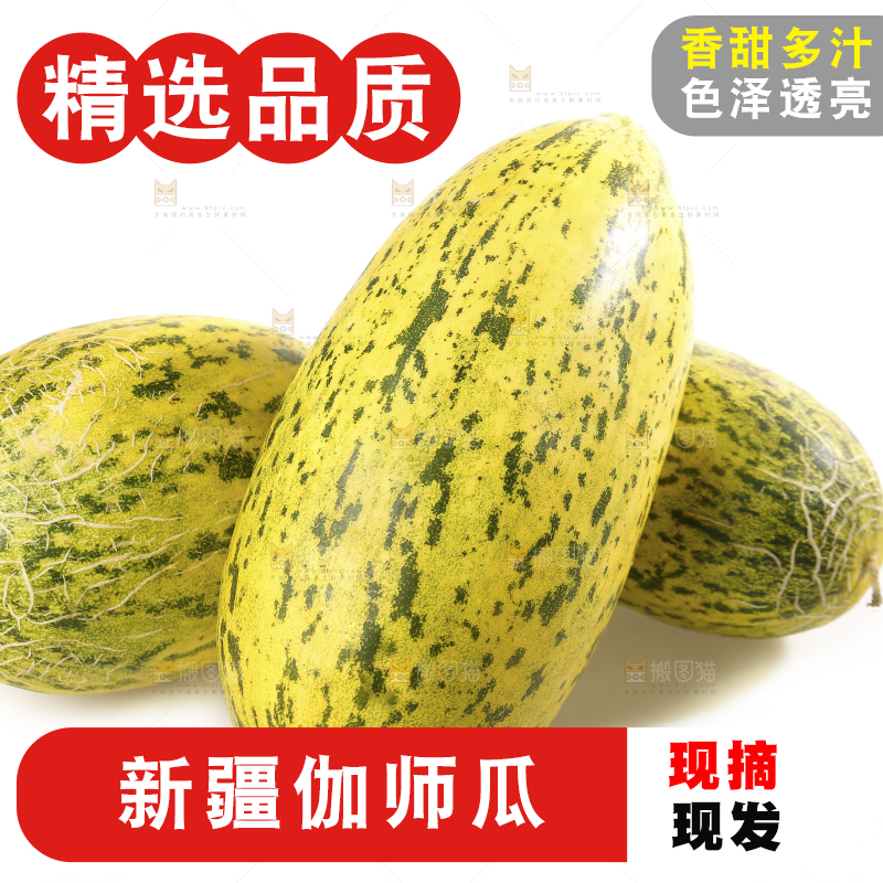 白底上放着新疆伽师瓜
