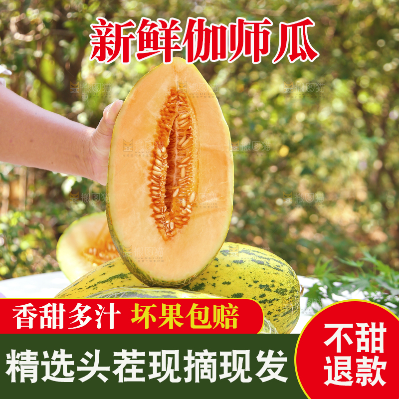 手里拿着新疆哈密瓜