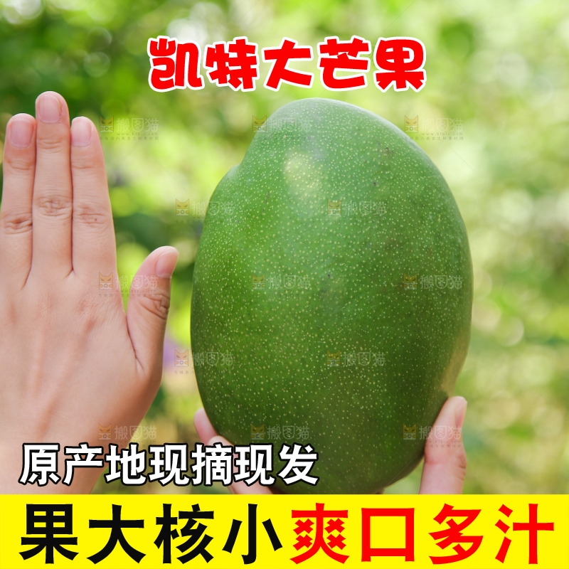 手里拿着凯特芒果
