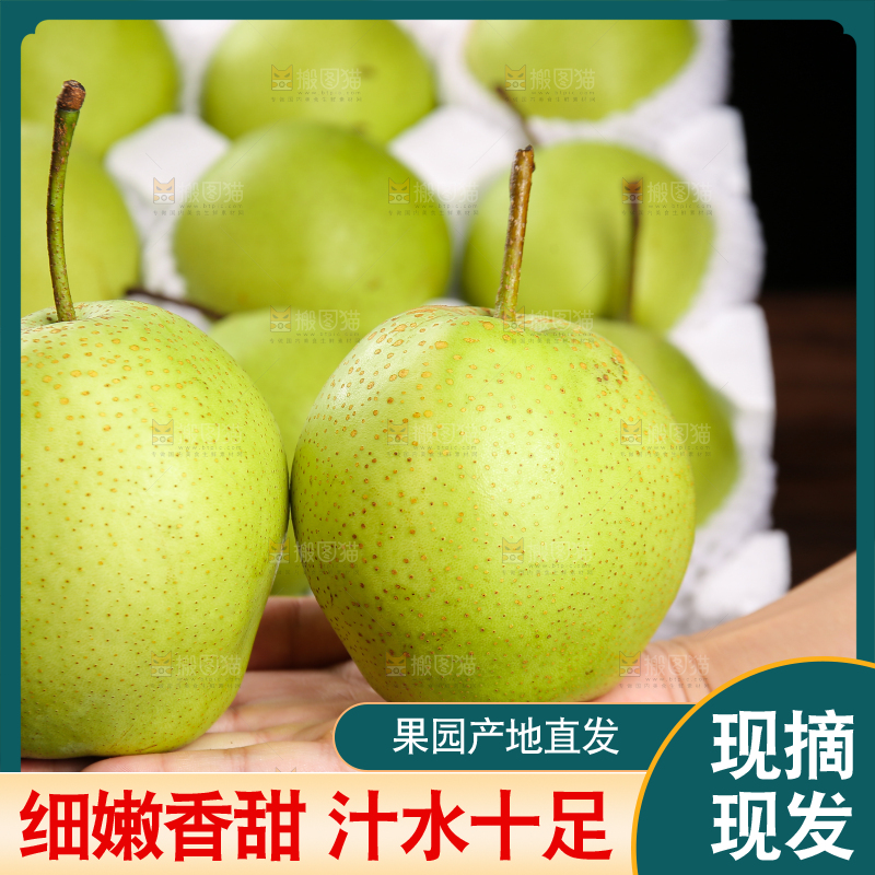 手上放着陕西早酥梨