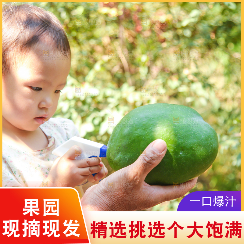 手里拿着青皮凯特芒