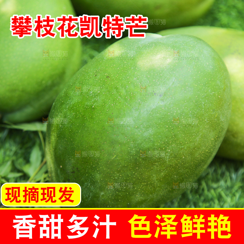 草地上放着凯特芒果