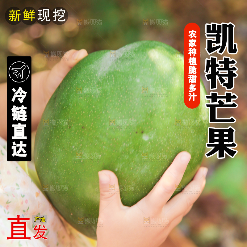手里拿着凯特芒果