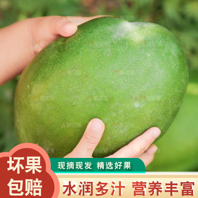 手里拿着凯特芒果