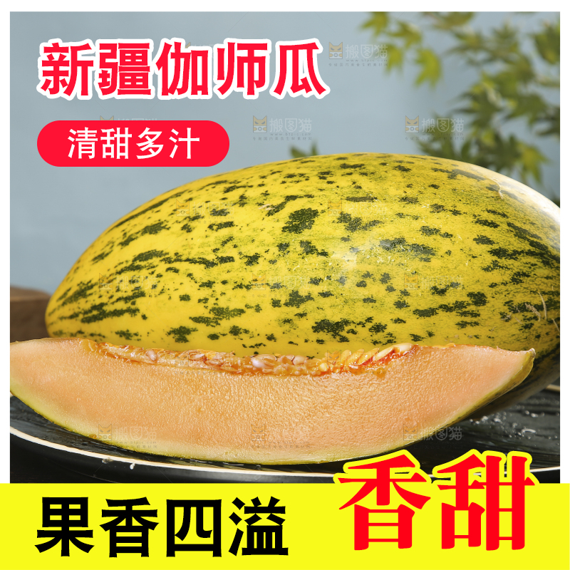深底上切块的伽师瓜