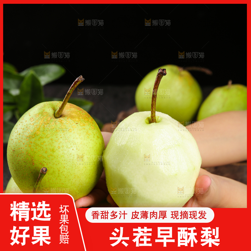 手上放着新鲜早酥梨
