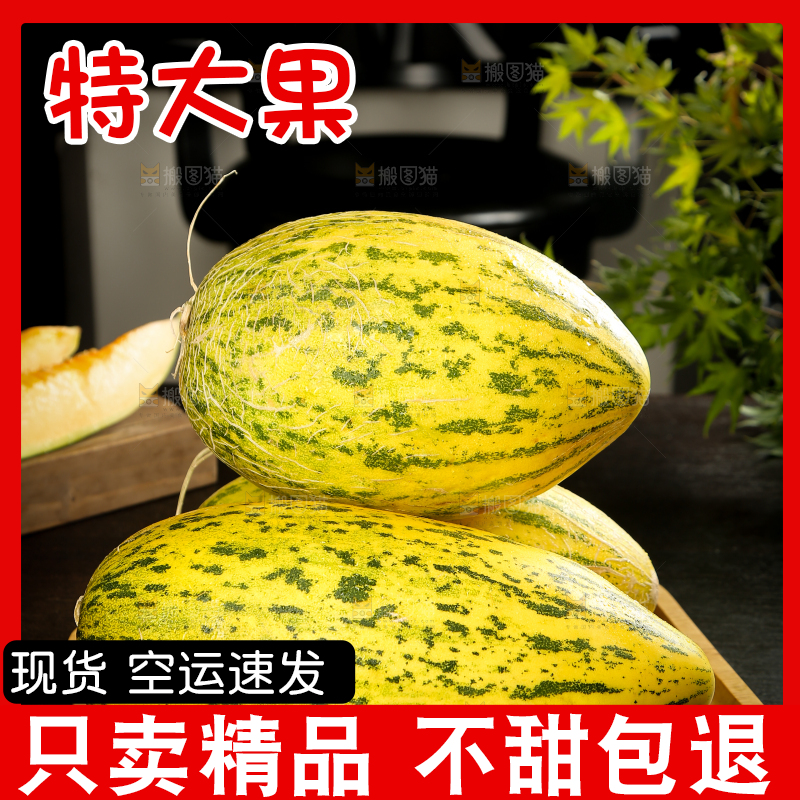 木盘里放着伽师瓜